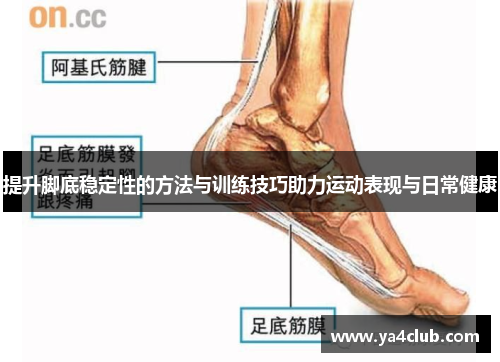 提升脚底稳定性的方法与训练技巧助力运动表现与日常健康