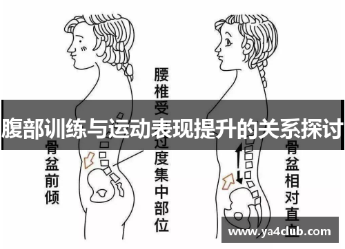 腹部训练与运动表现提升的关系探讨