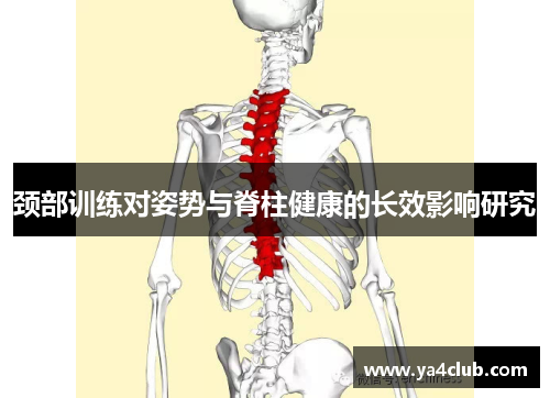 颈部训练对姿势与脊柱健康的长效影响研究